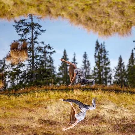 شقة فندقية Alpin Residenz Dachsteinperle