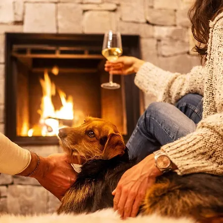 Alpin Residenz Dachsteinperle شقة فندقية 4*