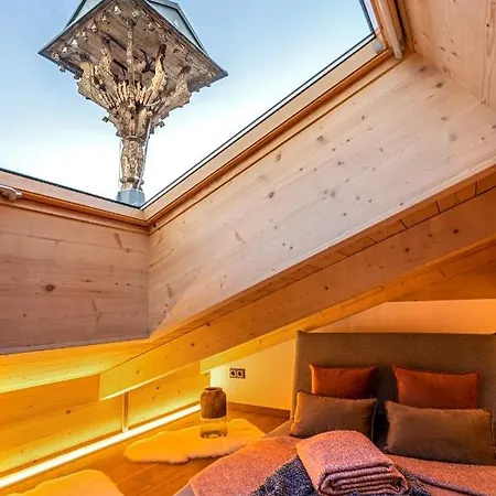 شقة فندقية Alpin Residenz Dachsteinperle رامساو أم داتشستين