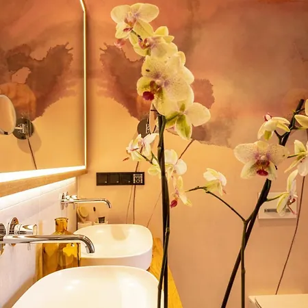 アパートホテル Alpin Residenz Dachsteinperle