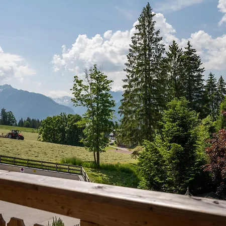 شقة فندقية Alpin Residenz Dachsteinperle رامساو أم داتشستين