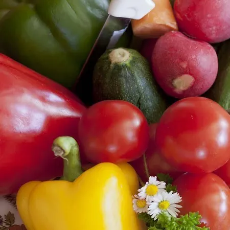 Alpin Residenz Dachsteinperle アパートホテル