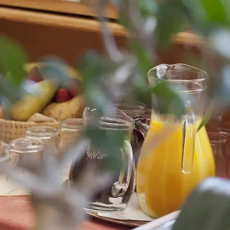 Alpin Residenz Dachsteinperle شقة فندقية