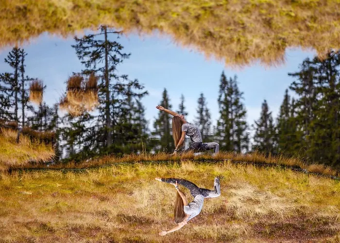 Aparthotel Alpin Residenz Dachsteinperle