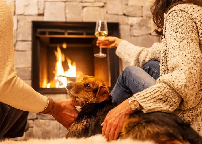 Alpin Residenz Dachsteinperle Apart Otel 4*