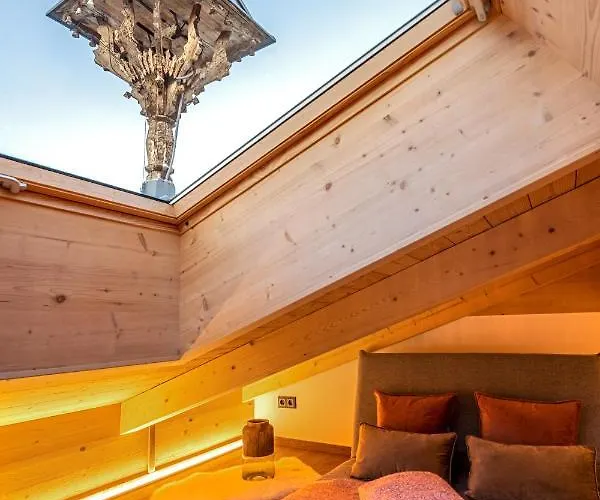 アパートホテル Alpin Residenz Dachsteinperle ラムサウ・アム・ダッハシュタイン