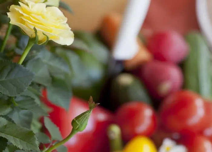 Alpin Residenz Dachsteinperle 람자우 암 다흐스타인