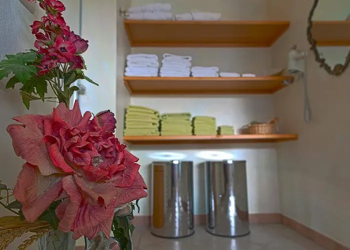 アパートホテル Alpin Residenz Dachsteinperle